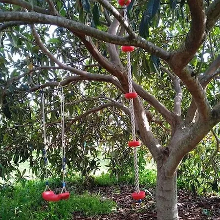 (adults Only) וילה